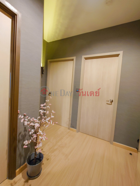 ฿ 30,000/ month Condo for Rent: Whizdom Connect Sukhumvit, 42 m², 1 bedroom(s)