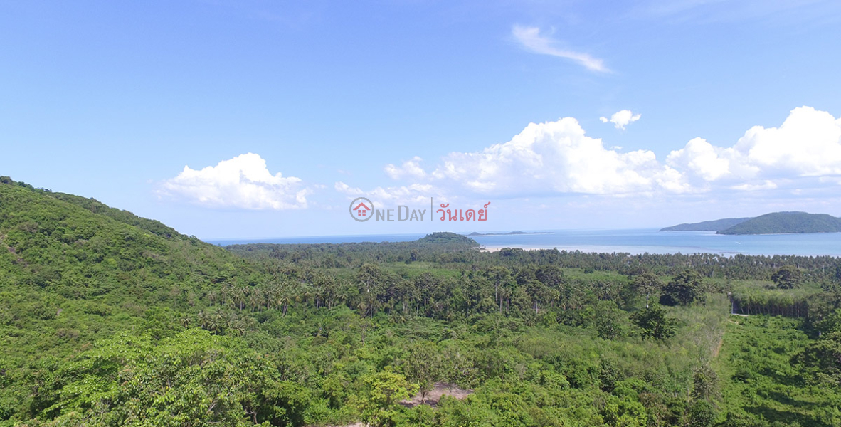 ค้นหาอสังหาริมทรัพย์ในประเทศไทย | OneDay | รายการขาย, DISCOUNT Sea View land