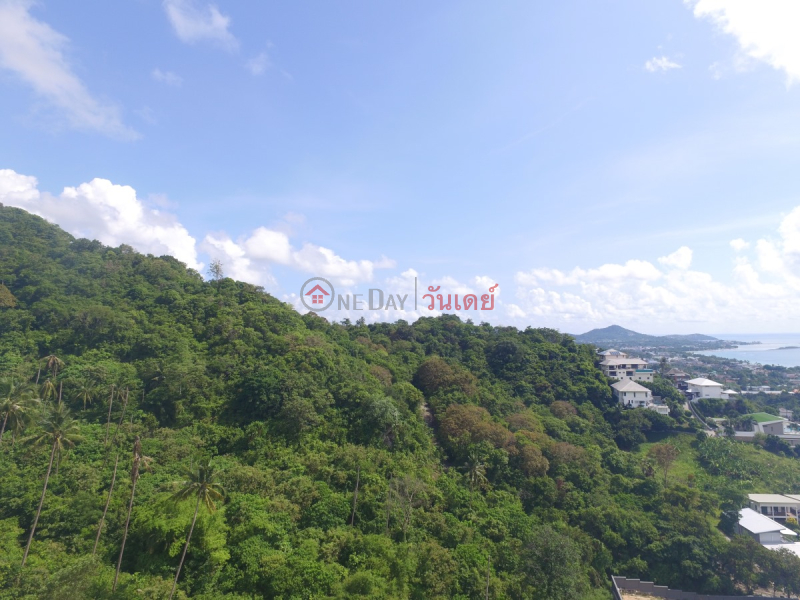  โปรดเลือก | | รายการขาย | ฿ 4,630.92Million