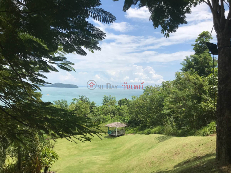 Ocean Front Land Plot รายการขาย (REAL-1614)