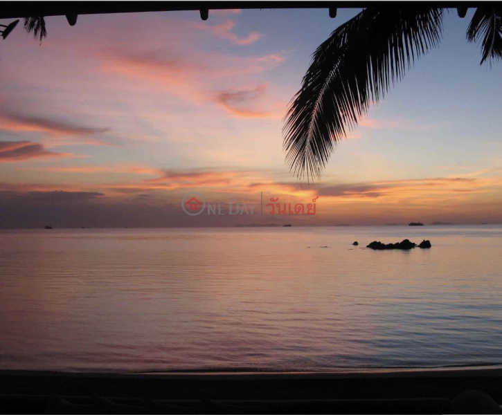 6 Rai Beach Land รายการขาย (REAL-1650)