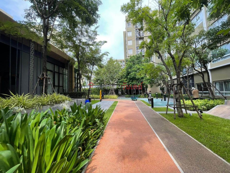 Condo for rent Plum Condo Rangsit Alive 1 (6th floor, building A) Rental Listings