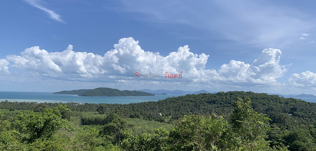 DISCOUNT Sea View land รายการขาย (REAL-1632)