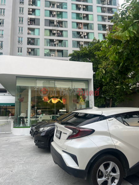 The Paw Park (เดอะพาวพาร์ค),Chatuchak | OneDay วันเดย์(5)