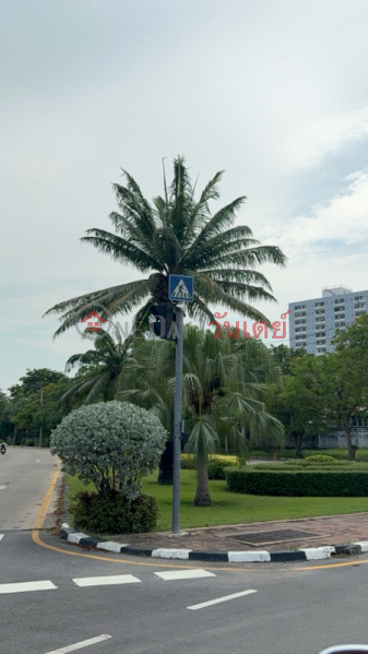 Ministry of Public Health (กระทรวงสาธารณสุข),Mueang Nonthaburi | OneDay วันเดย์(4)