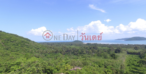 DISCOUNT Sea View land (REAL-1632)_0