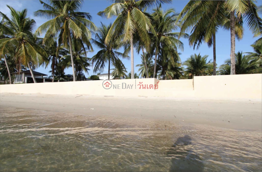 6 Rai Beach Land รายการขาย (REAL-1650)