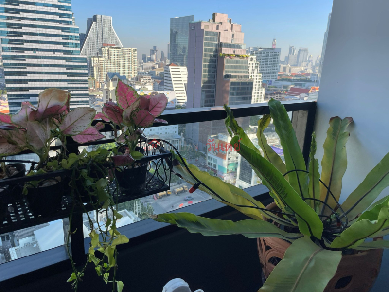 M Silom 2 Beds 2 Baths Bangkok Rental Listings (TRI-TP000803)