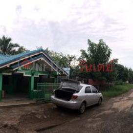 House for sale / house for rent with beautiful land _0