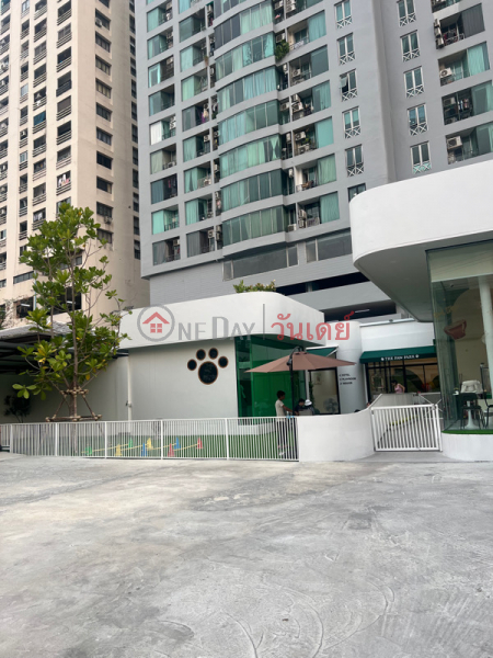 The Paw Park (เดอะพาวพาร์ค),Chatuchak | OneDay วันเดย์(4)