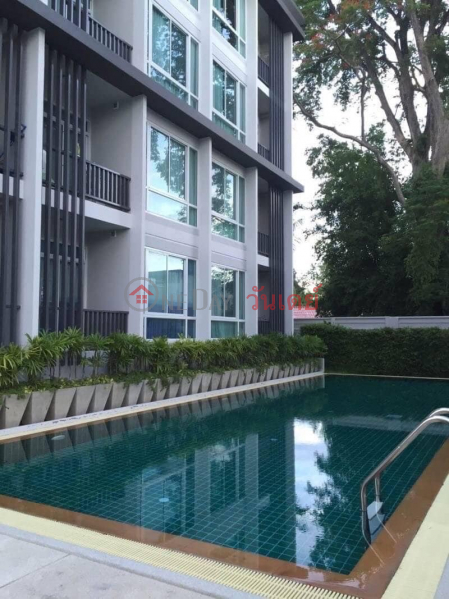 For rent 10,000 baht per month condo Chiang Mai behind CMU Thailand, Rental ฿ 10,000/ month