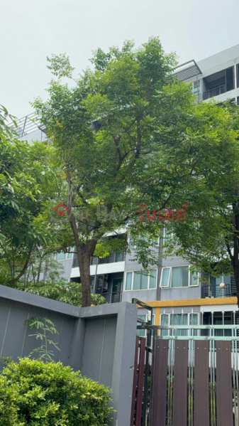 สัมมากร เอส ไนน์ คอนโดมิเนียม (Sammakorn S 9 Condominium) บางบัวทอง | OneDay วันเดย์(5)