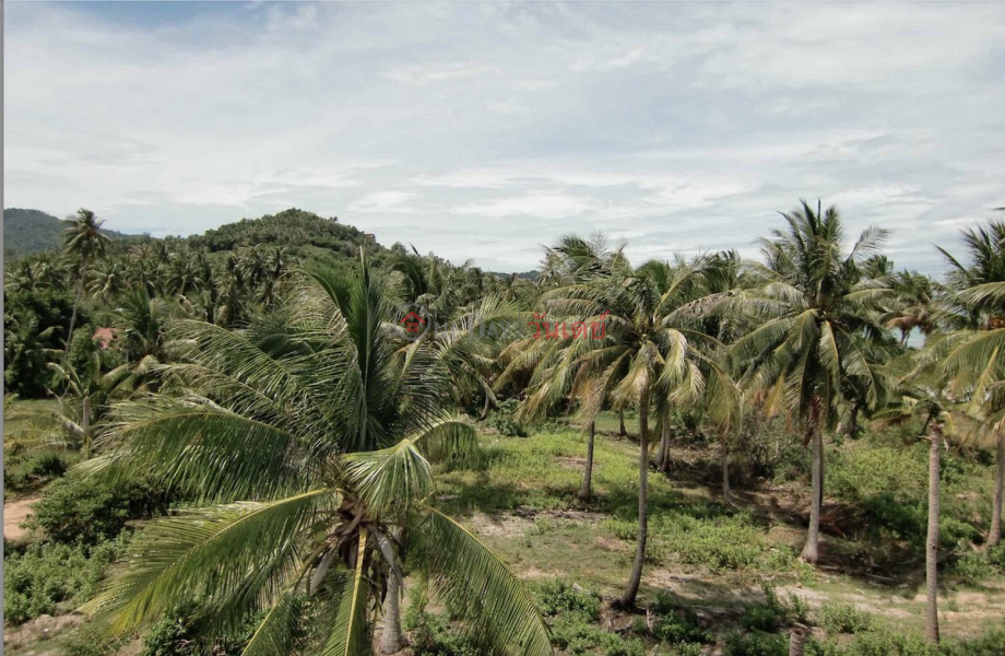 ฿ 5,627.2Million, 6 Rai Beach Land