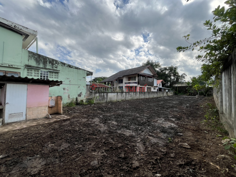 Land for rent in Chiang Mai, 156 sq.wa., Wang Sing Kham Road, Ping River view, only 13,500 THB/month. Rental Listings
