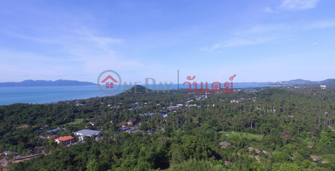 20 Rai Sea View (REAL-1628)_0