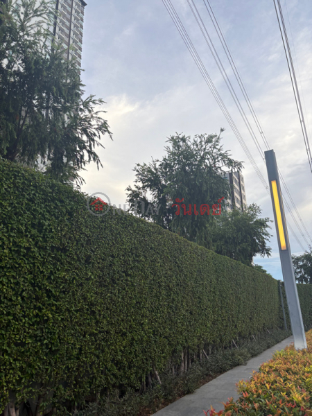 เดอะ ไลน์ วงศ์สว่าง (The Line Wong Sawang) บางซื่อ | OneDay วันเดย์(4)