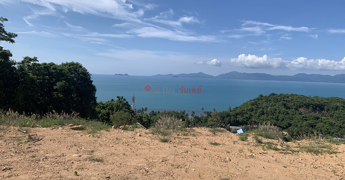 20 Rai Sea View รายการขาย (REAL-1628)