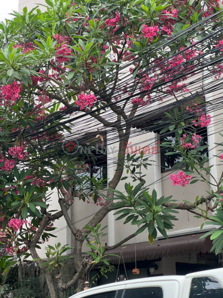 สุวรรณดา อพาร์ทเม้นท์ (Suwanda Apartment) จตุจักร | OneDay วันเดย์(4)