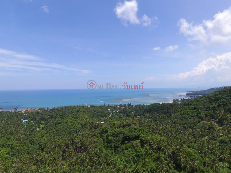 1.5 Rai Sea View รายการขาย (REAL-1626)