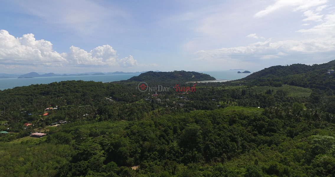 DISCOUNT Sea View land รายการขาย (REAL-1632)