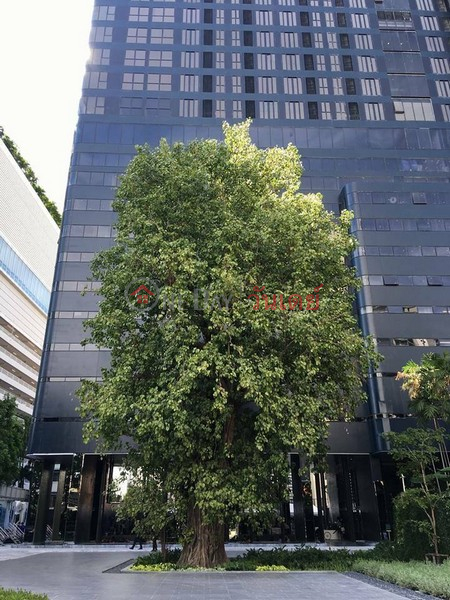 ฿ 35,000/ month, Condo for Rent: Ashton Asoke, 31 m², 1 bedroom(s)