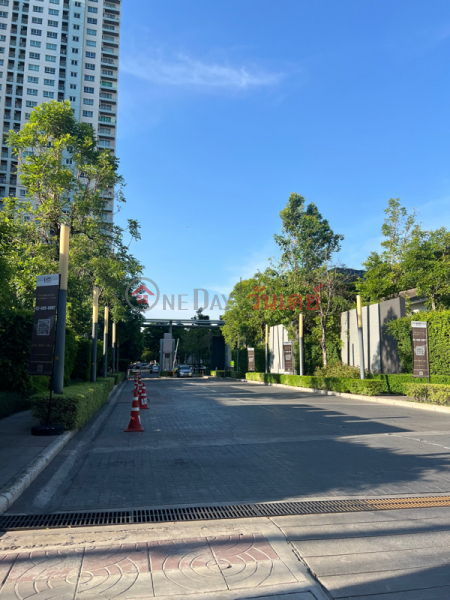 Lumpini park Rattanathibet-Ngamwongwan (สวนลุมพินี รัตนาธิเบศร์-งามวงศ์วาน),Mueang Nonthaburi | OneDay วันเดย์(3)