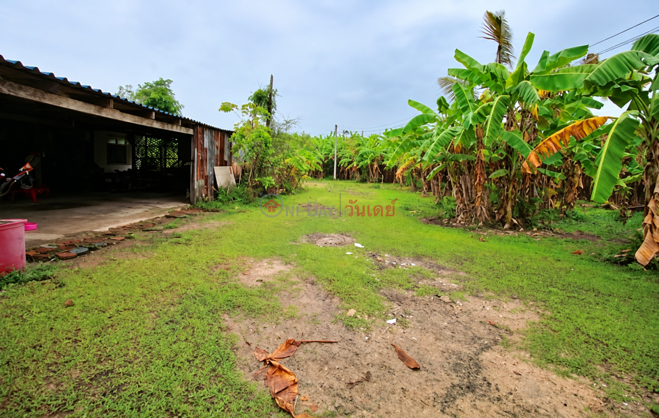 Land for sale with a detached house and other structures, prime location, 4 rai, Phanat Nikhom, near Lotus. Thailand Sales, ฿ 13.5Million