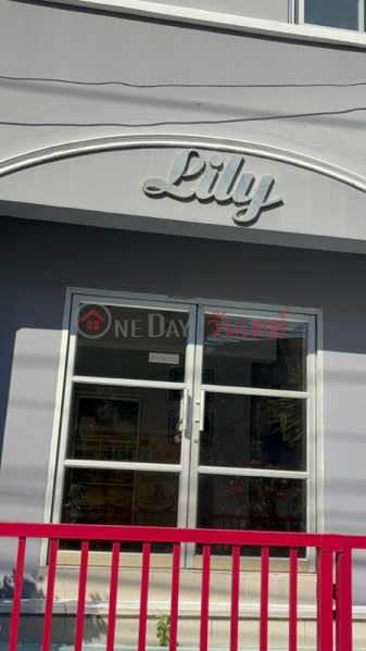 ลิลลี่ (Lilly) ดินแดง | OneDay วันเดย์(4)