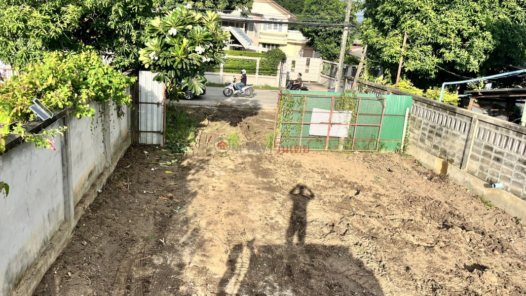 Land for rent in Chiang Mai, 156 sq.wa., Wang Sing Kham Road, Ping River view, only 13,500 THB/month. Rental Listings
