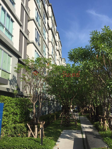 Property Search Thailand | OneDay | Residential, Rental Listings | Condo for Rent: D Condo Onnut - Suvarnabhumi, 30 m², 1 bedroom(s)