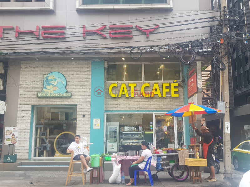 อโศก เพ็ทเฮ้าส์ แคท คาเฟ่ (Asok Pethouse Cat Cafe\') วัฒนา | OneDay วันเดย์(3)