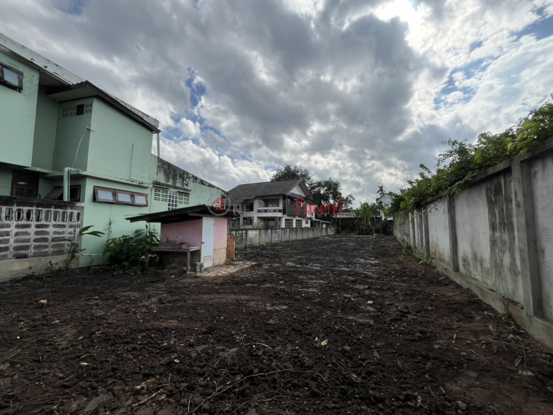 Property Search Thailand | OneDay | | Rental Listings, Land for rent in Chiang Mai, 156 sq.wa., Wang Sing Kham Road, Ping River view, only 13,500 THB/month.