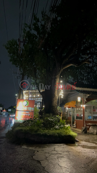 Krua Ta Suk, Lat Phrao 64 (ครัวตาสุข ลาดพร้าว 64),Wang Thonglang | OneDay วันเดย์(2)