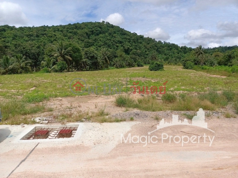 ขายที่ดิน 11 ไร่ 2 งาน ใน บ้านหุบบอน ต.เขาคันทรง อ.ศรีราชา จ.ชลบุรี _0