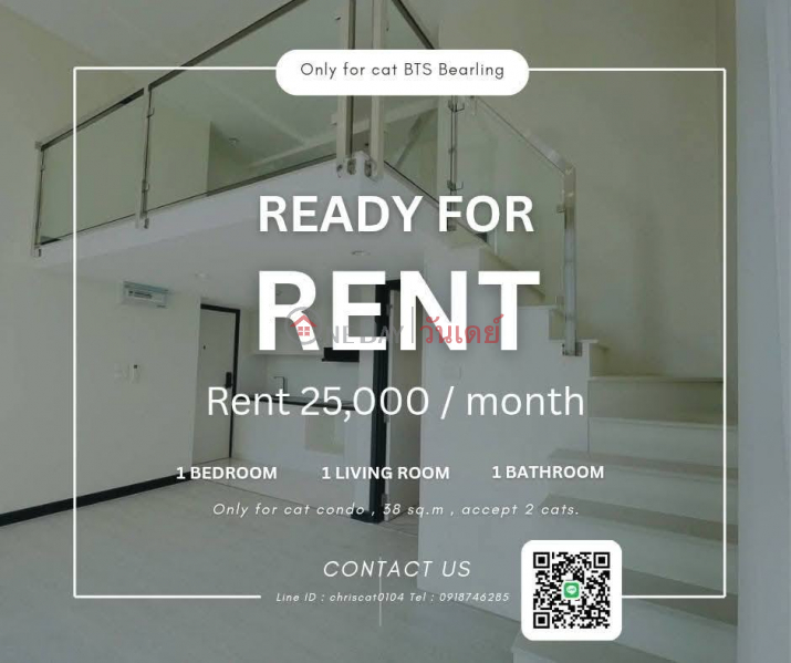 ฿ 23,900/ month CAT-FRIENDLY DUPLEX NEAR BTS BEARING