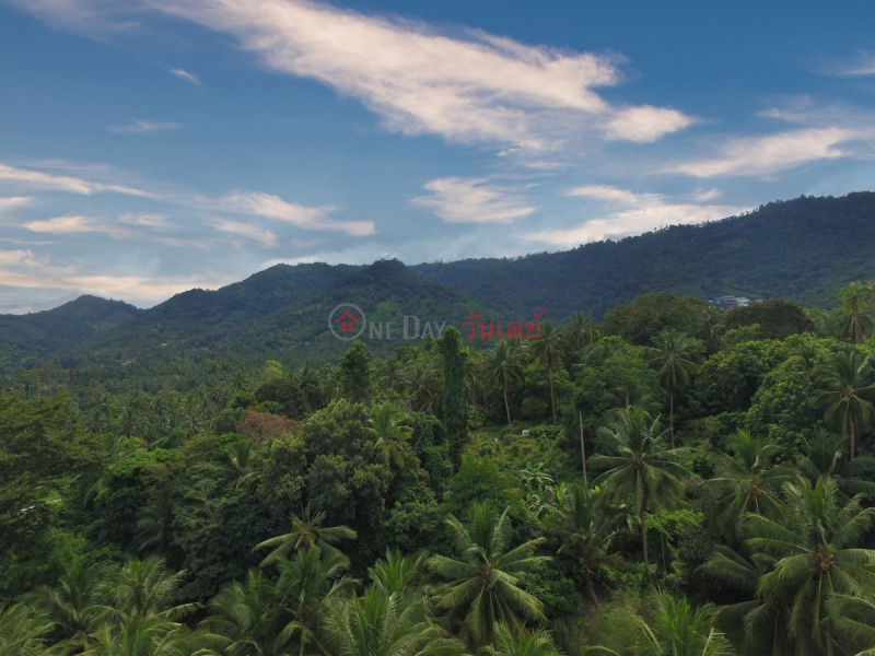 10 Rai Maenam Thailand Sales | ฿ 1,371.63Million