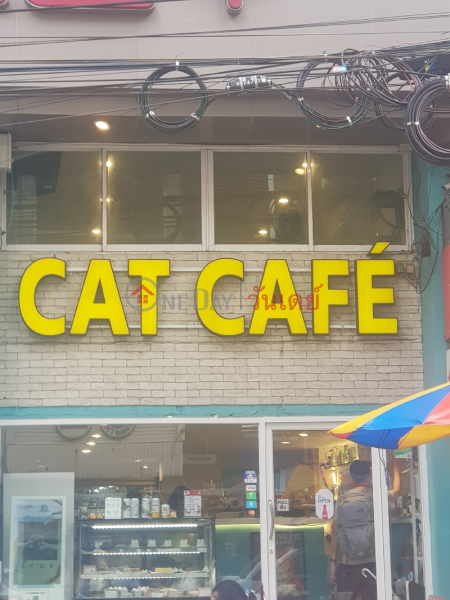 อโศก เพ็ทเฮ้าส์ แคท คาเฟ่ (Asok Pethouse Cat Cafe\') วัฒนา | OneDay วันเดย์(2)