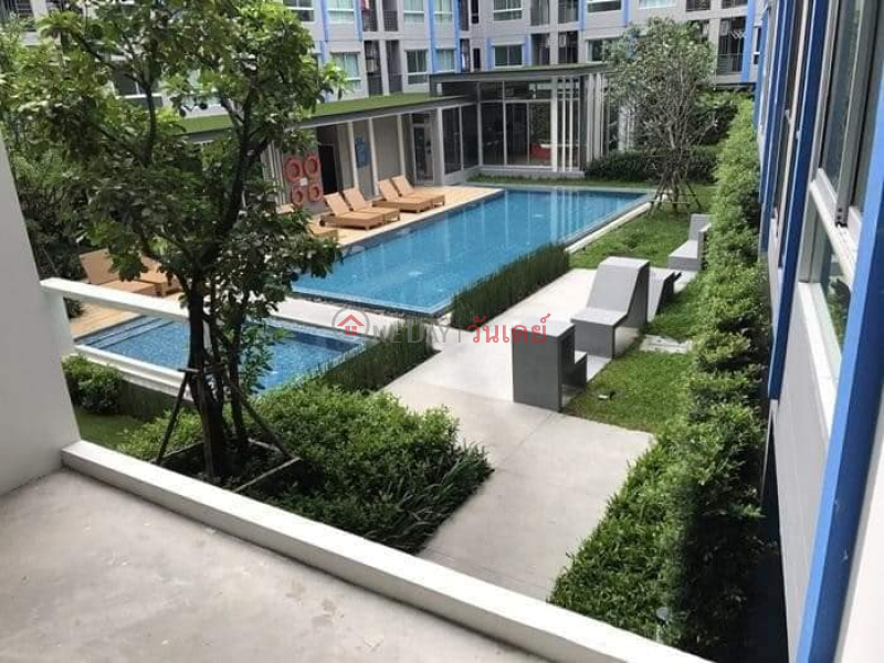 Property Search Thailand | OneDay | Residential Rental Listings Condo for rent: The Kith Plus Sukhumvit 113, swimming pool view