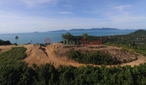 20 Rai Sea View (REAL-1628)_0