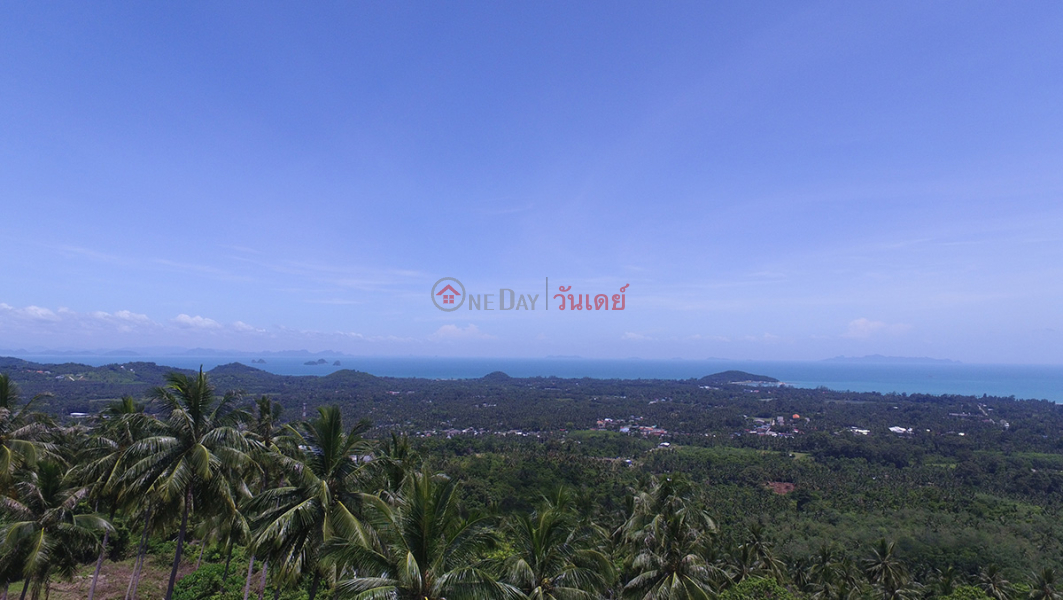 Sea View Villa Lots Sales Listings (REAL-1635)