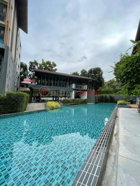 ค้นหาอสังหาริมทรัพย์ในประเทศไทย | OneDay | เกี่ยวกับที่พักอาศัย, รายการเช่า ดีคอนโดนิม ติดเซนทรัลเฟสติวัล เดินออกไปได้เลย