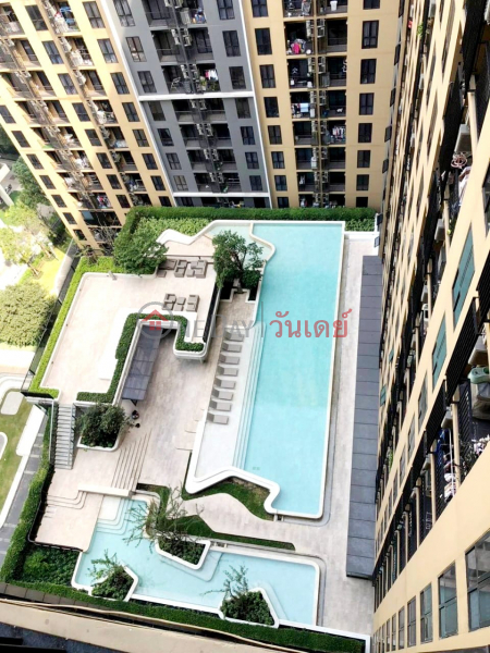 ฿ 12,000/ เดือน | ให้เช่า Plum Condo Pinklao Station (ชั้น 19) เฟอร์ครบ วิวสระ