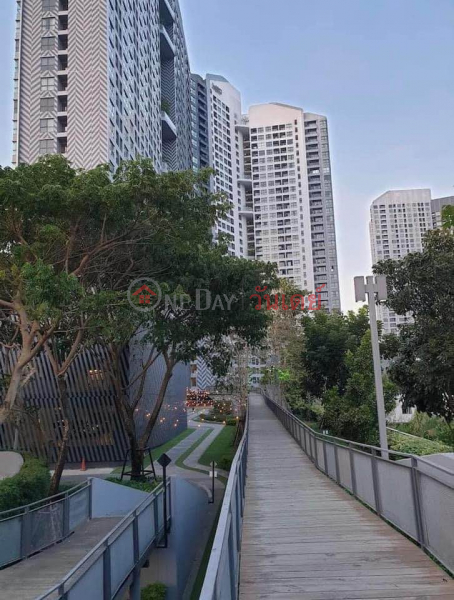 Condo for rent Ideo O2 - Building B (19th floor) Rental Listings