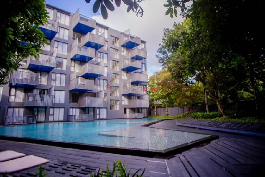 Condo for rent: The Deck Patong, swimming pool view Rental Listings