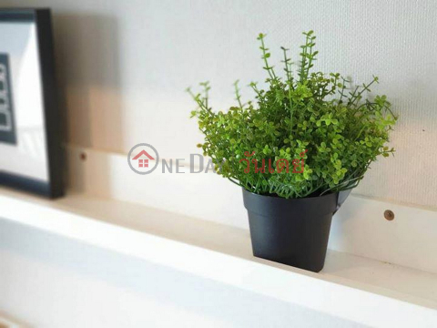 Condo for Rent: Kensington Kaset Campus, 30 m², 1 bedroom(s) - OneDay_0