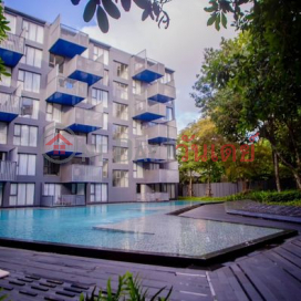 Condo for rent: The Deck Patong, swimming pool view _0