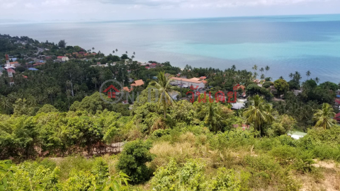 1,600 Sqm Sea View (REAL-1724)_0